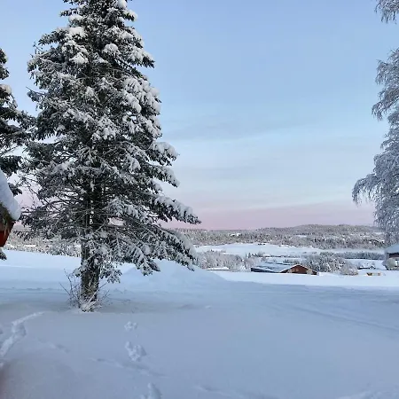 Log In Rural Surroundings